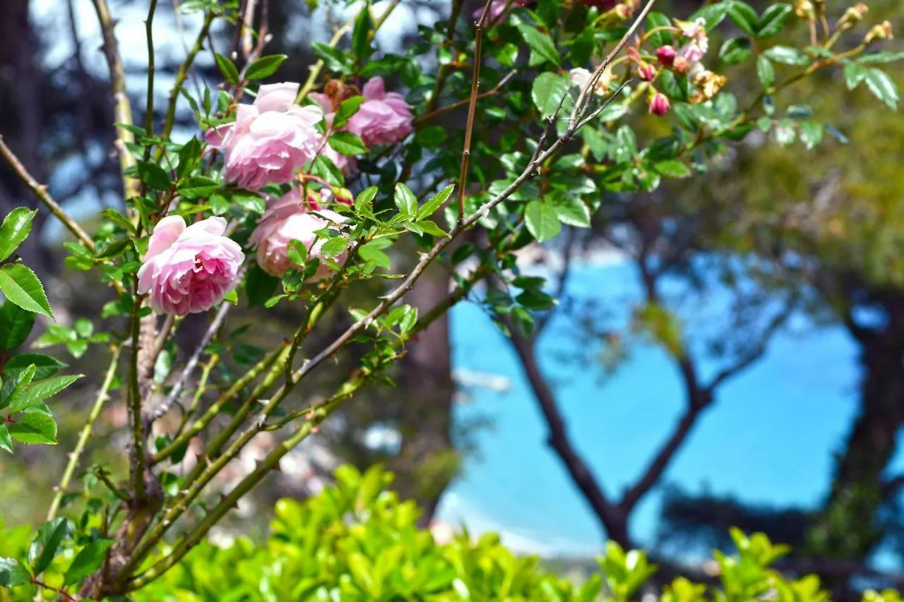 Torre Alpicella - Holiday Home Ντιάνο Μαρίνα Ιταλία